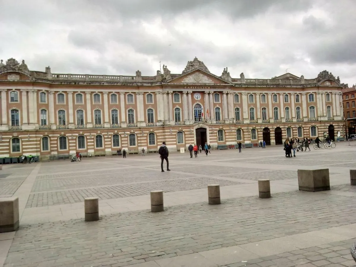 Joli T2 Proche Hypercentre Apartment Toulouse